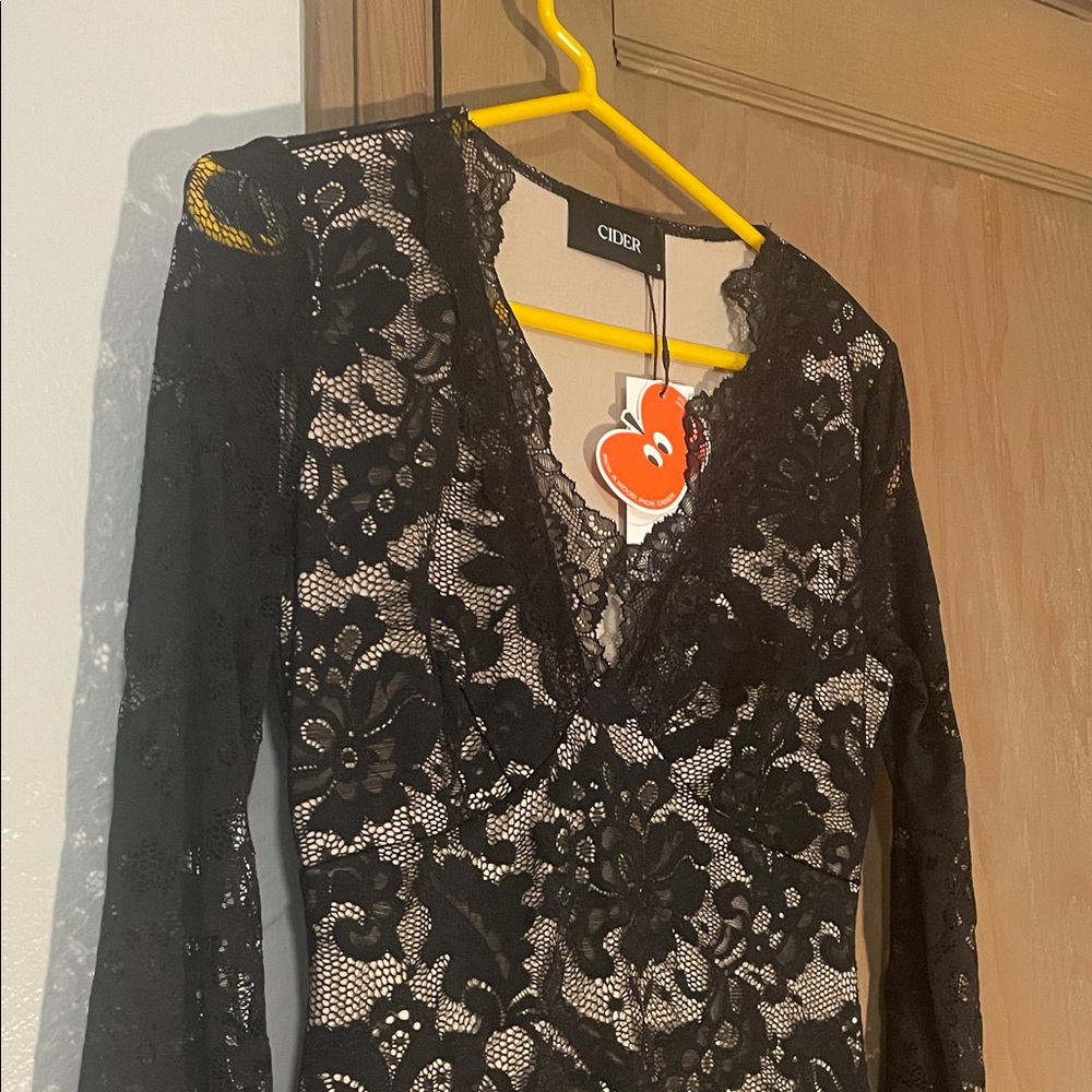 Cider Black Lace over Nude Lining Long Sleeve Dress
